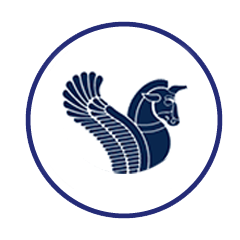 ایرتور
